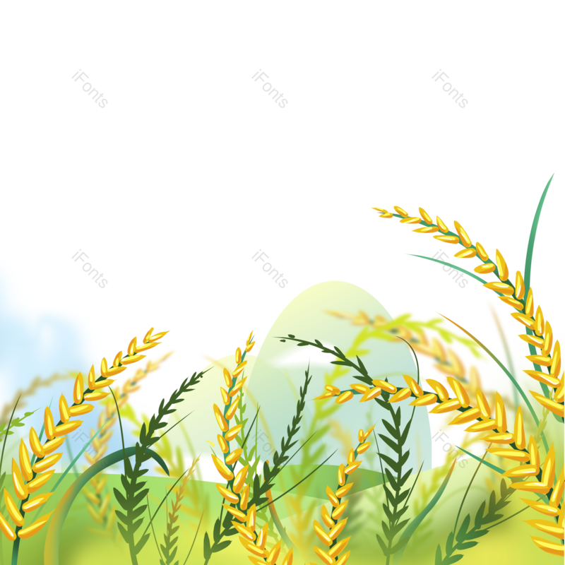 芒种图片,小满元素,秋天PNG,夏天免抠素材